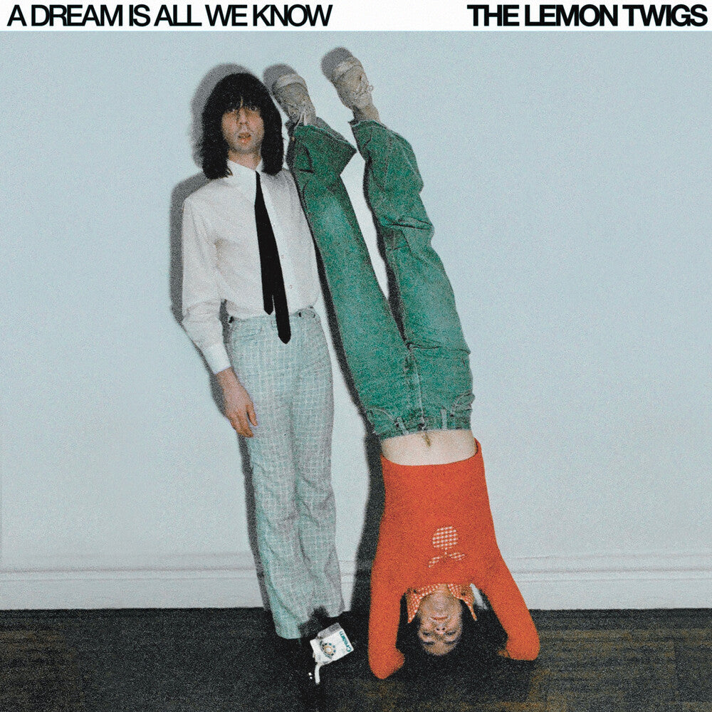 Dream Is All We Know [LP] Vinyl Record