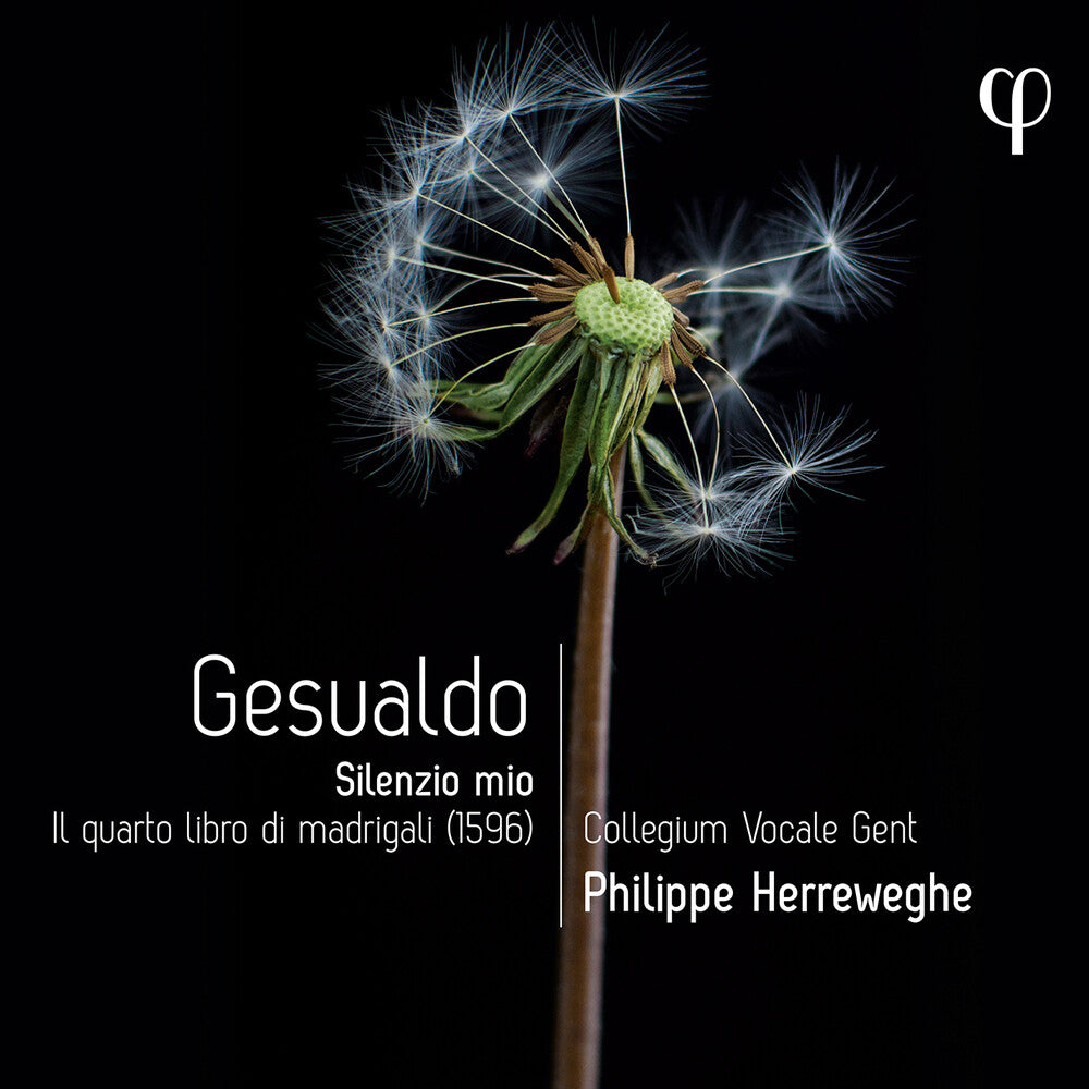 the album cover for Gesualdo / Herreweghe / Nordberg - Silenzio Mio - Il Quarto Libro Di Madrigali