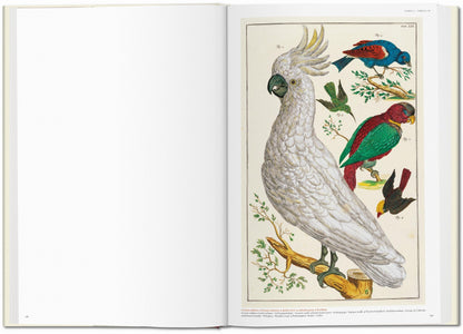 Seba. Cabinet of Natural Curiosities (German, French, English) Book