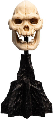 Open Edition Polystone - Lotr - Skull Of Lurtz Polystone Statue - Collectibles