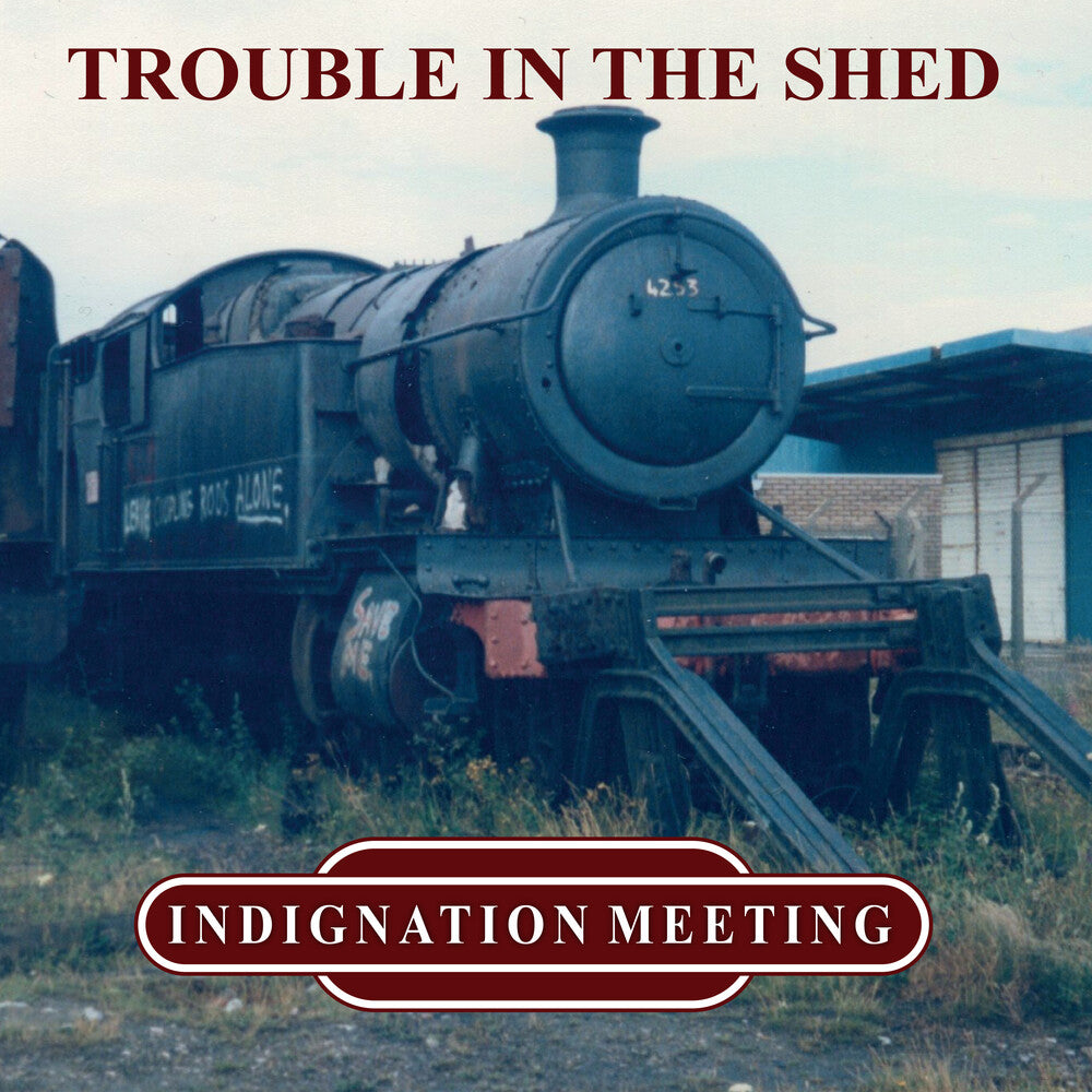 Trouble In The Shed [LP] Vinyl Record