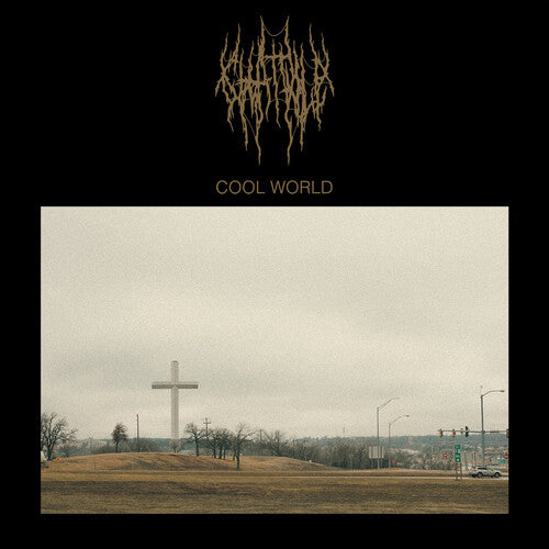 Chat Pile - Cool World Vinyl Record