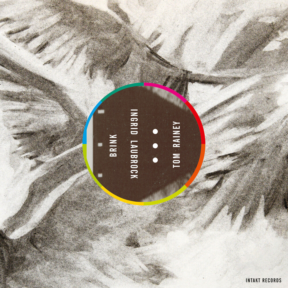 the album cover for Ingrid Laubrock  / Rainey,Tom - Brink