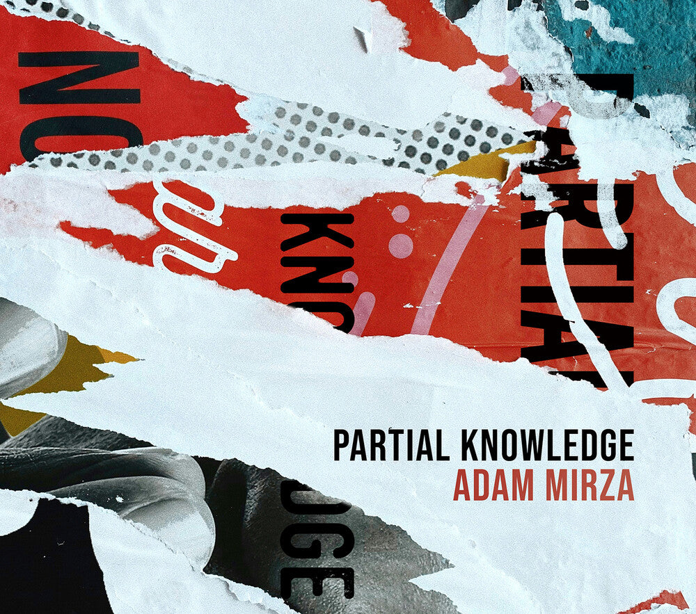 the album cover for Mirza / Teyssier / Modney - Partial Knowledge