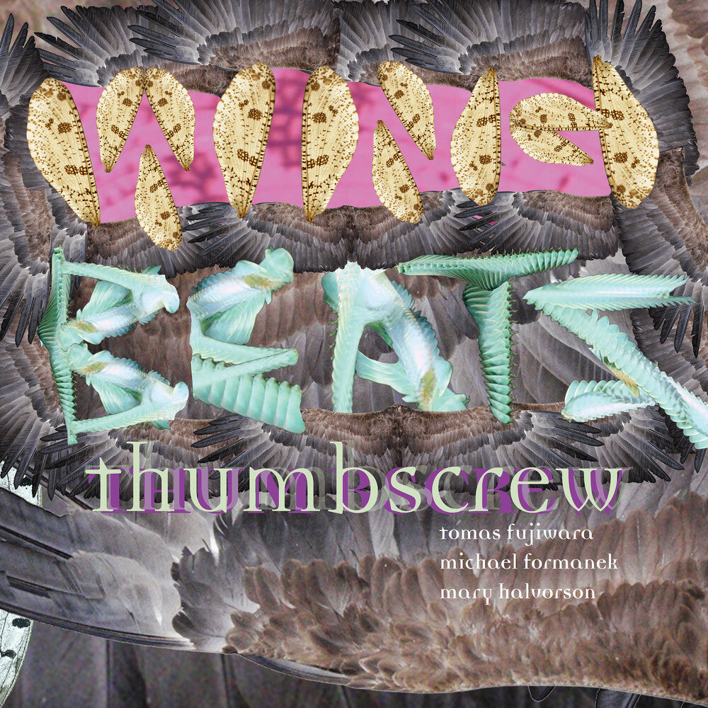 Wingbeats Music CD