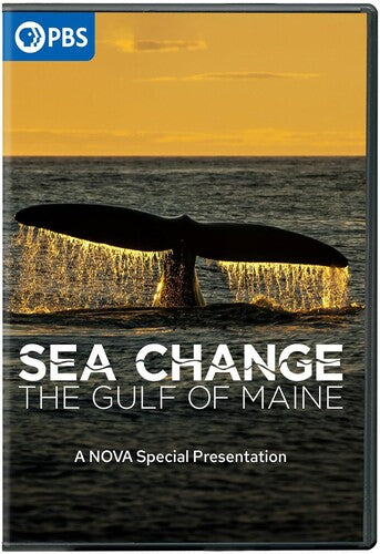 Sea Change: Gulf Maine Nova Special Presentation - Sea Change: Gulf Maine Nova Special Presentation - DVD