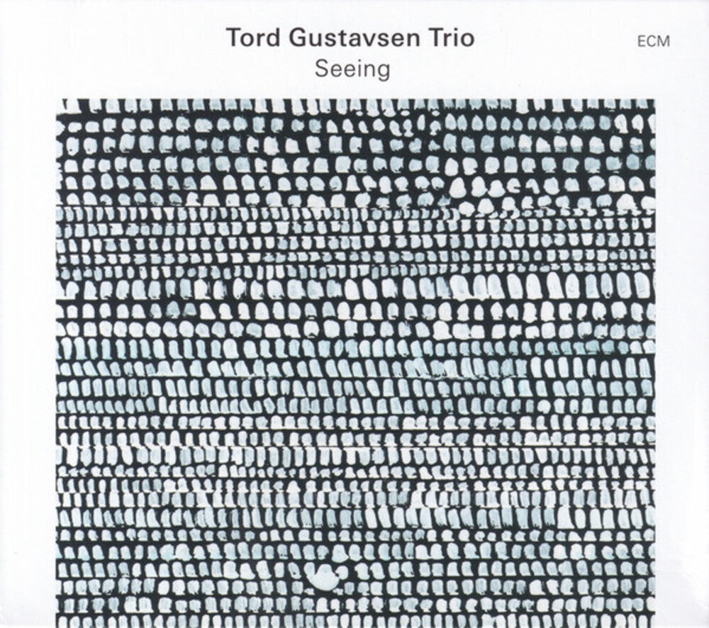 the album cover for Gustavsen, Tord - Seeing