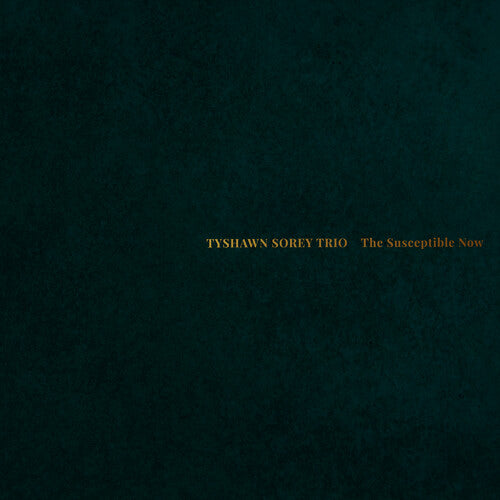 Tyshawn Sorey Trio - Susceptible Now - Music CD