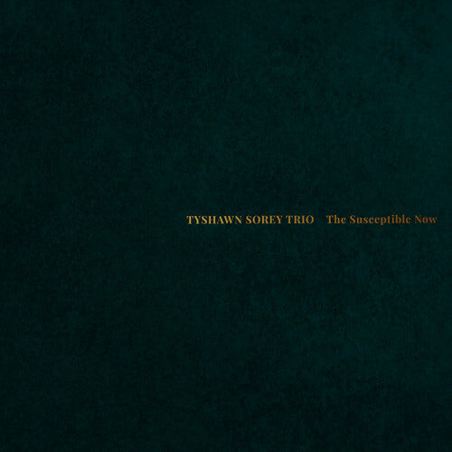 Tyshawn Sorey Trio - The Susceptible Now Music CD