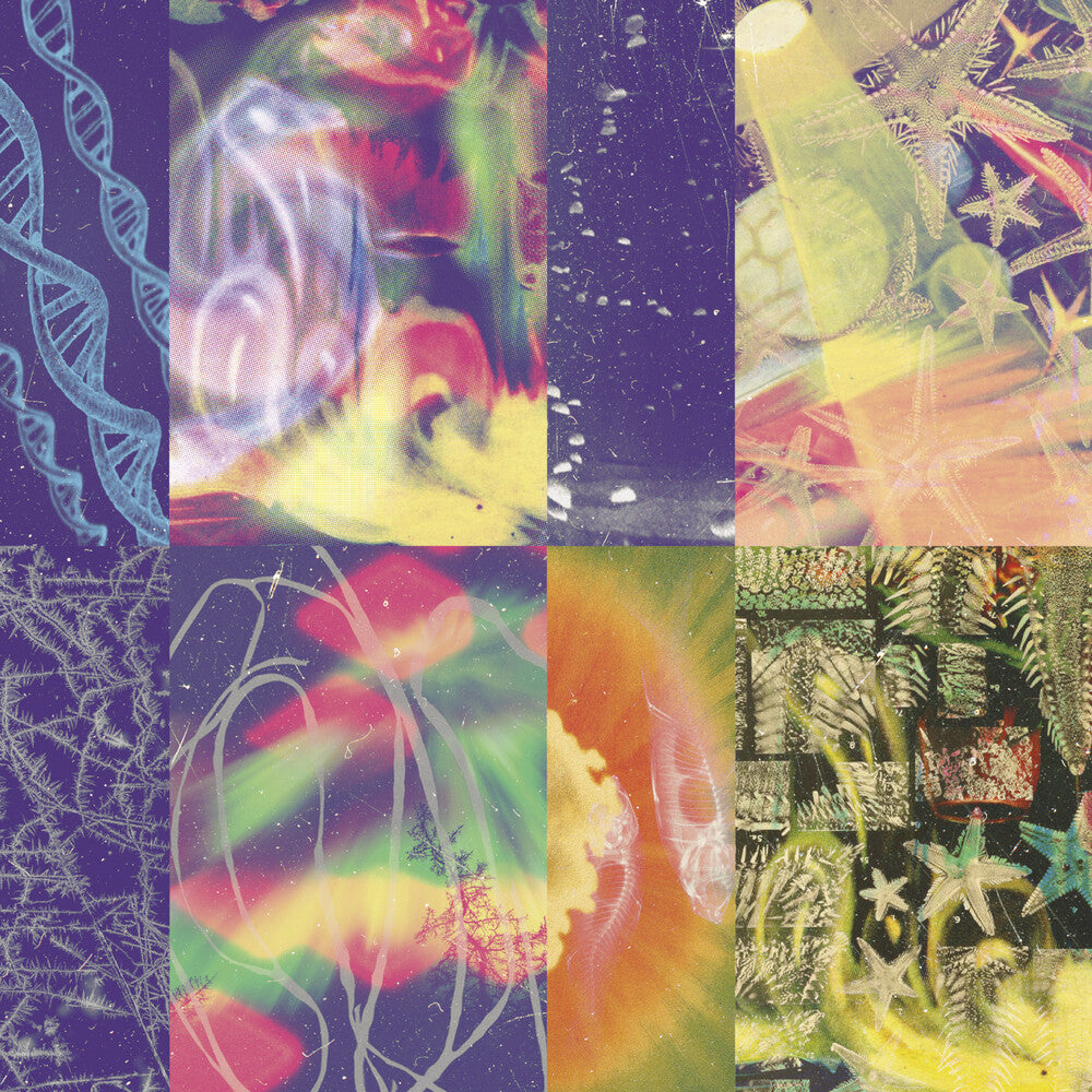 Neon Gate [LP] Vinyl Record