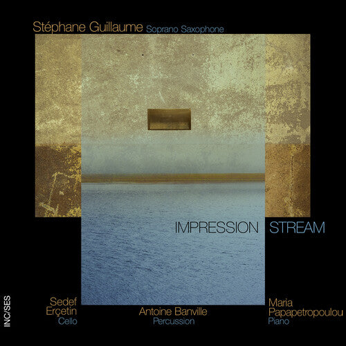 Guillaume,stephane / Ercetin,sedef - Impression Stream - Music CD