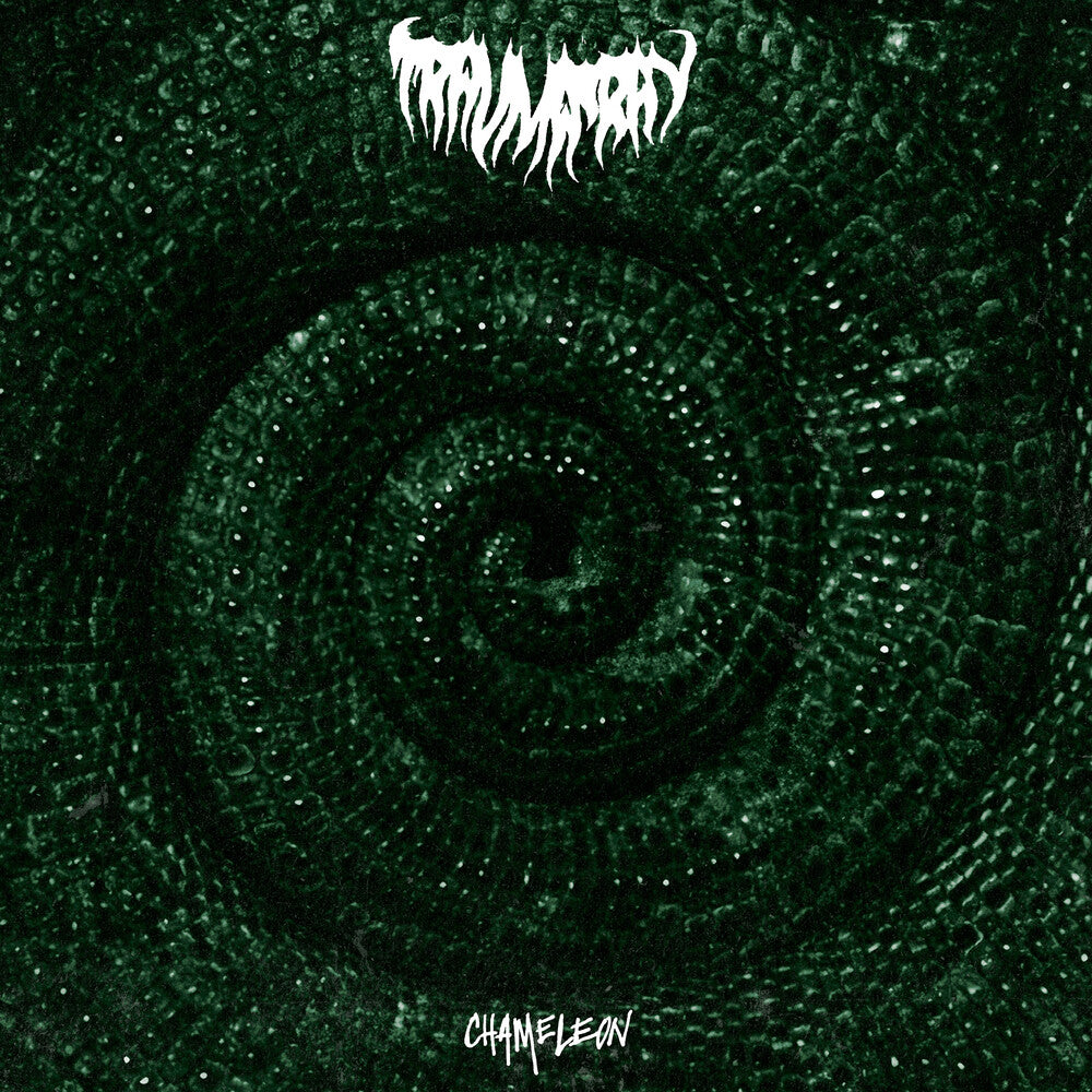 Chameleon Music CD