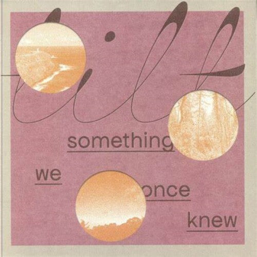 Tilt - Something We Once Knew - Vinyl Record