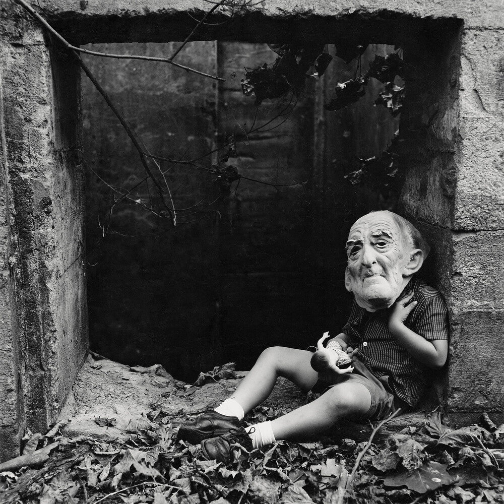 Loose Cattle - Someone's Monster [LP] Vinyl Record