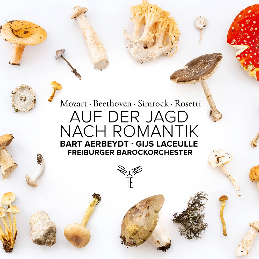 the album cover for Freiburger Barockorchester - Auf Der Jagd Nach Romantik
