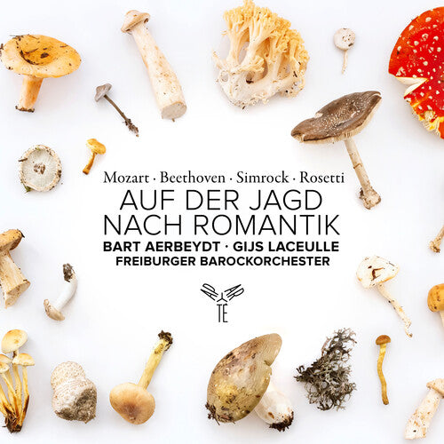 Freiburger Barockorchester - Auf Der Jagd Nach Romantik Music CD