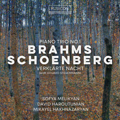 Sofia Melikyan - Brahms: Piano Trio No.1; Schoenberg: Verklarte Nacht Music CD