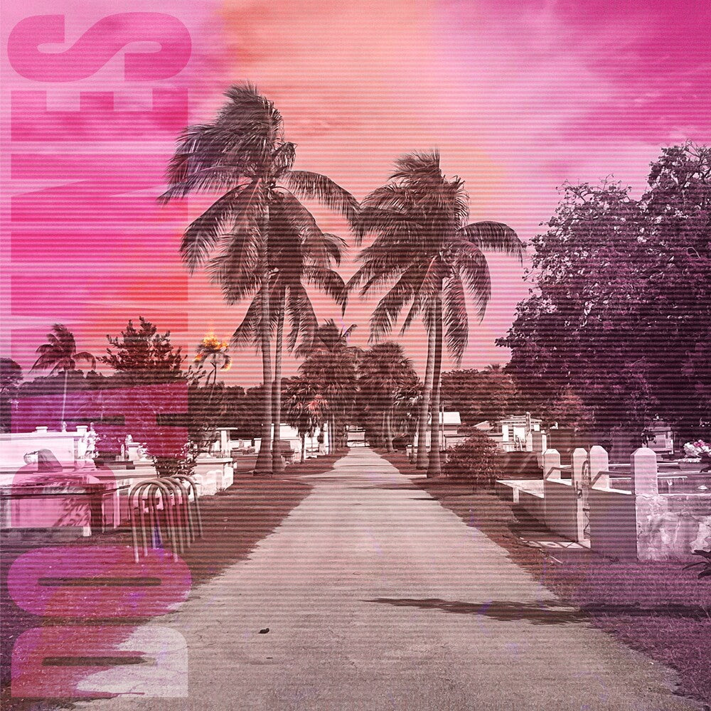 80/20 [LP] Vinyl Record