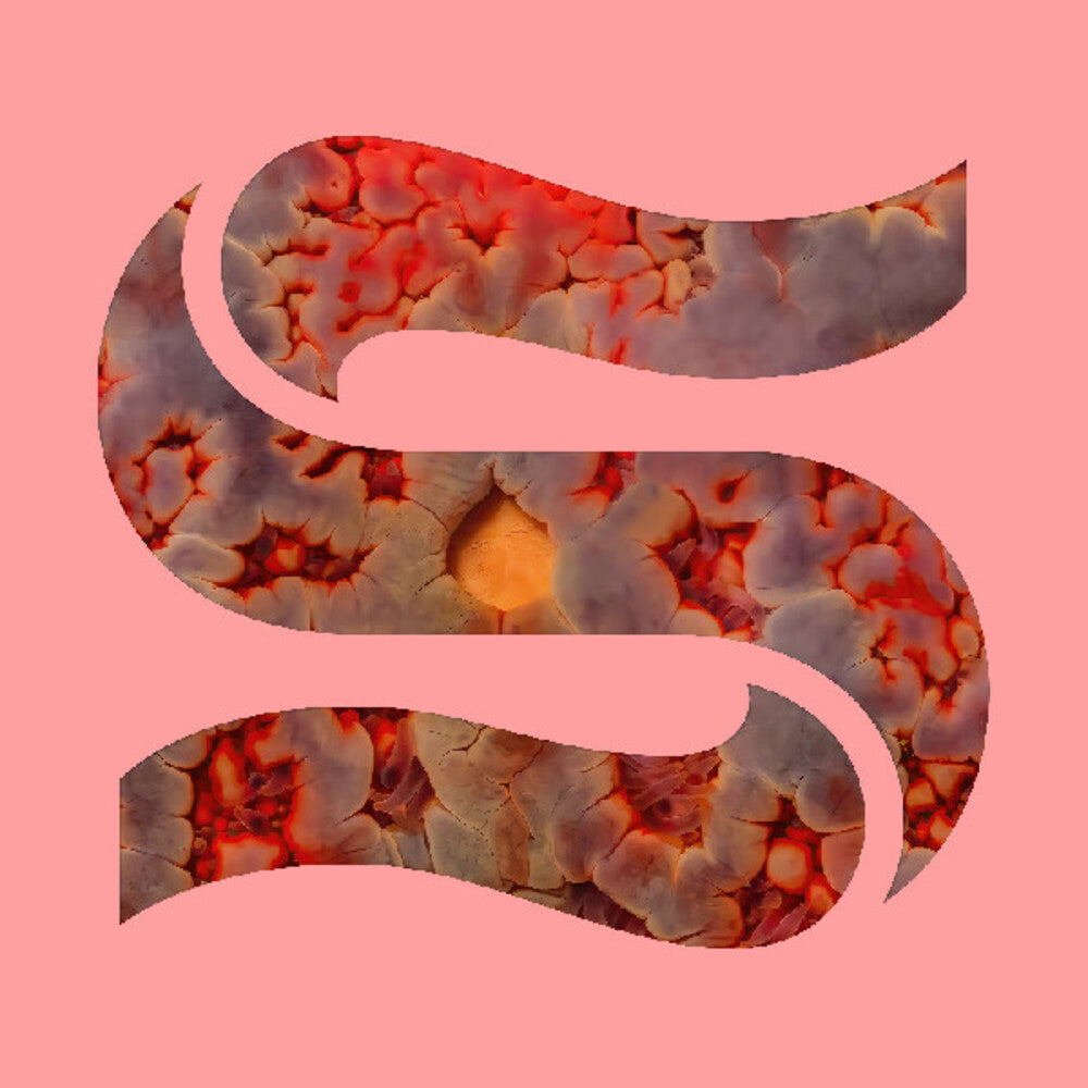 Kaitlyn Smith  Aurelia / Goddard,Joe - Neptunes [Download Included] Vinyl Record