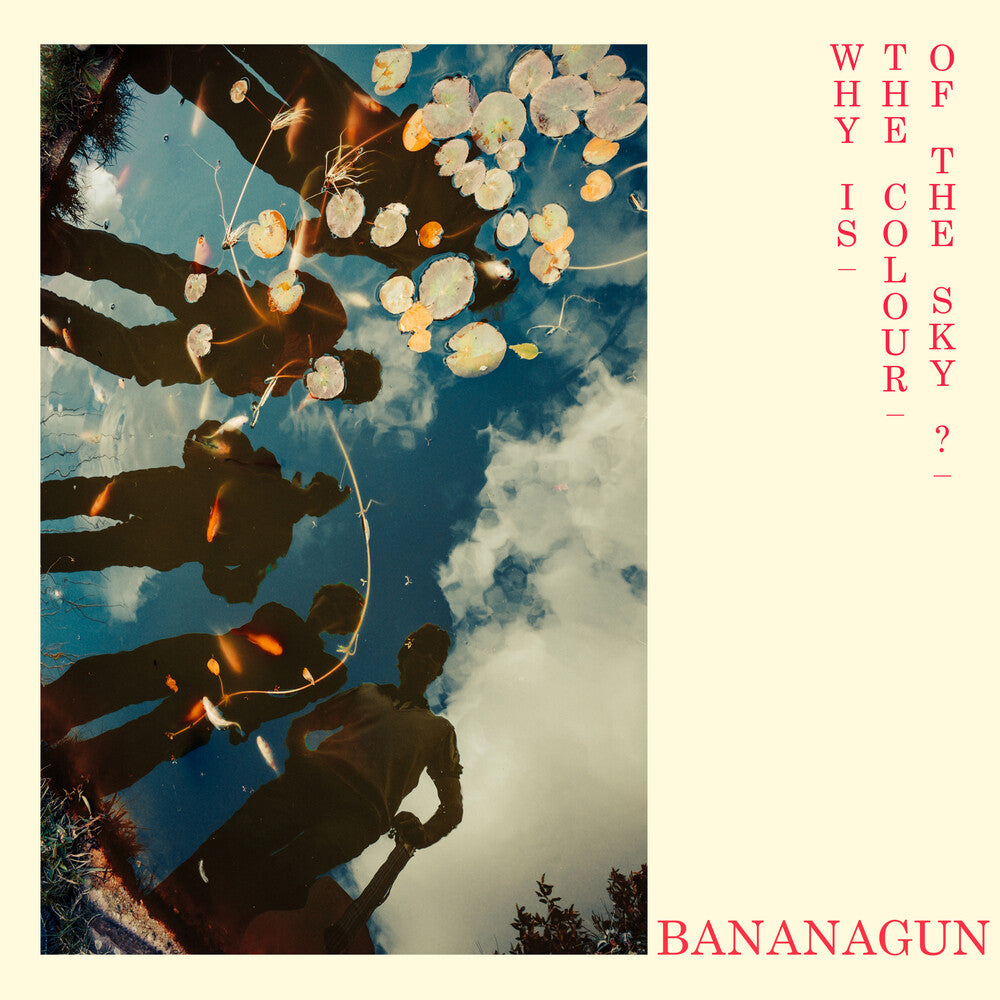 Why Is The Colour Of The Sky [LP] Vinyl Record