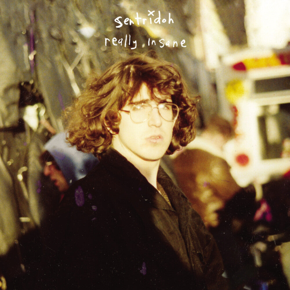 Really Insane : A Lou Barlow Compendium [Remastered] Vinyl Record