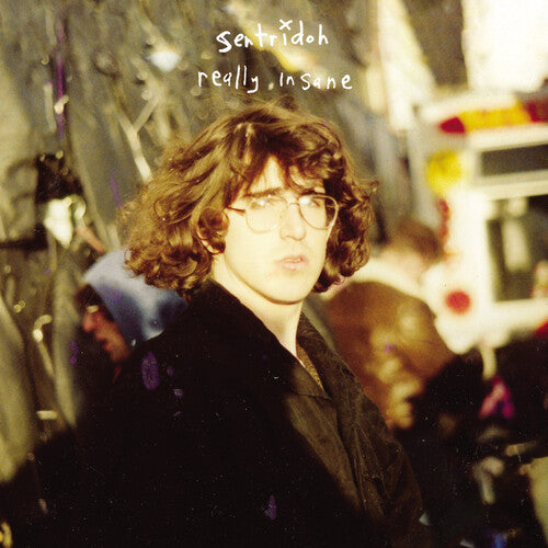 Sentridoh - Really Insane : A Lou Barlow Compendium - Vinyl Record