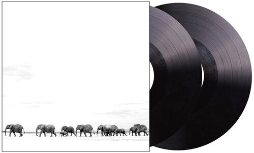 Dave Matthews - Where Are You Going: The Singles [2LP] Vinyl Record