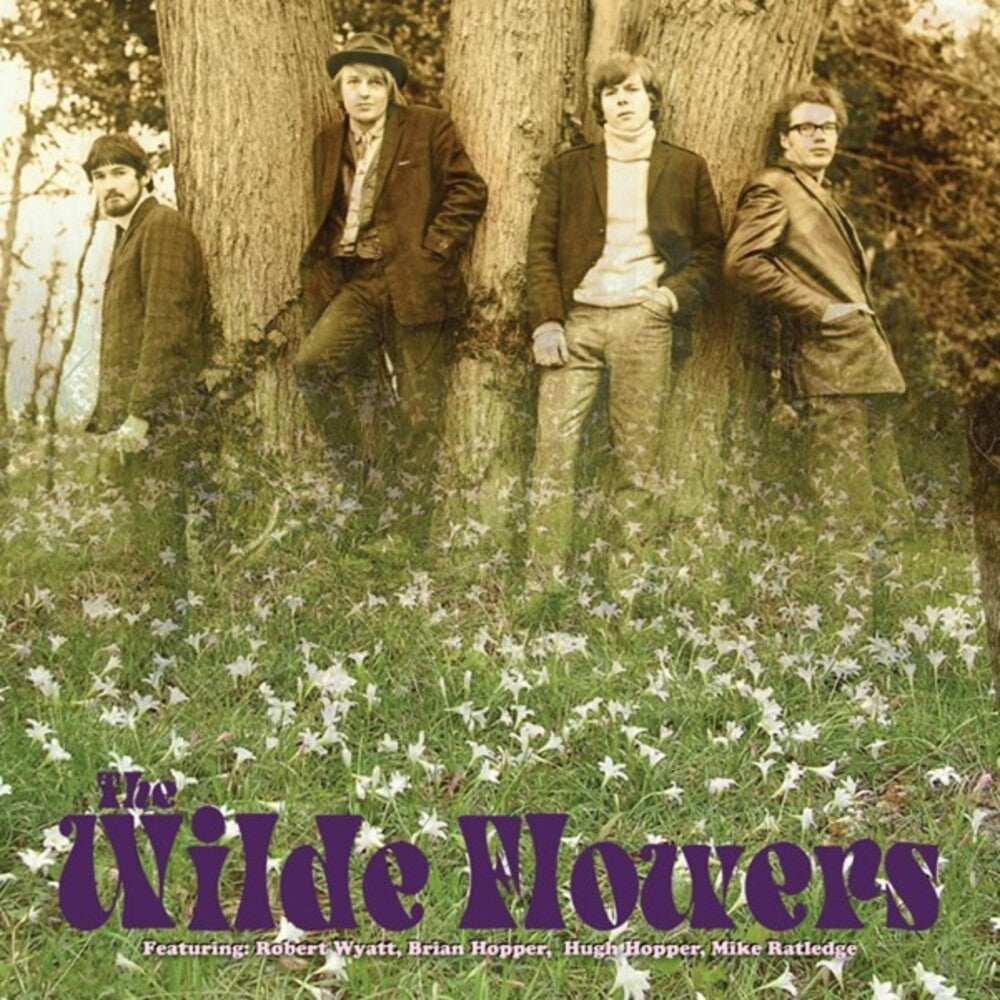 The Wilde Flowers [LP] Vinyl Record