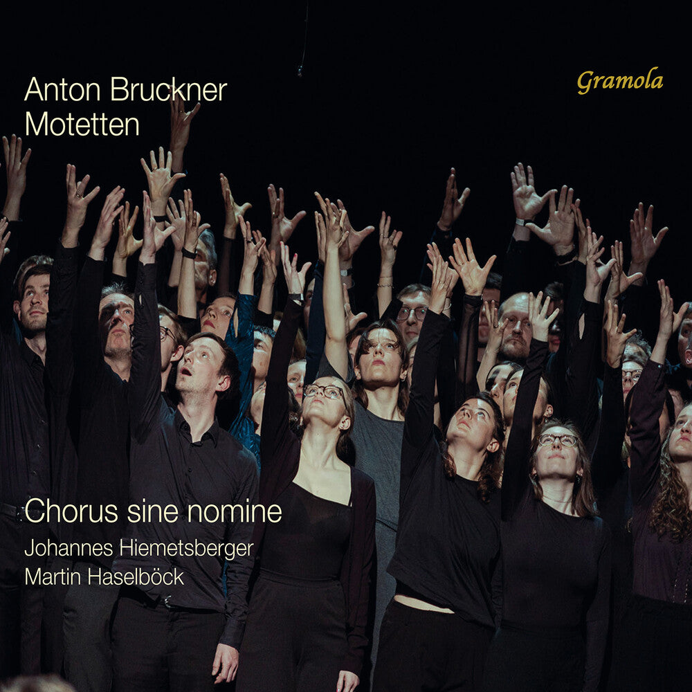 the album cover for Bruckner / Haselbock / Chorus Sine Nomine - Motetten