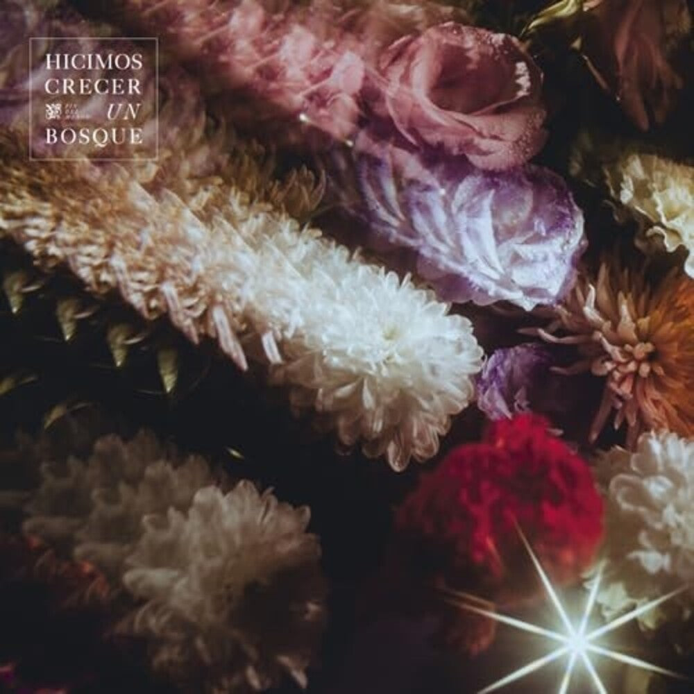 Hicimos Crecer Un Bosque [LP] Vinyl Record