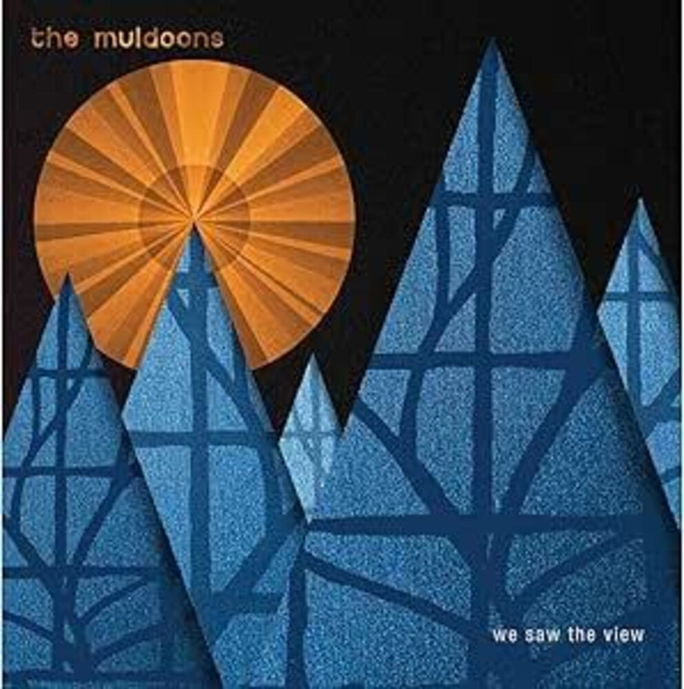 We Saw The View (Uk) [LP] Vinyl Record