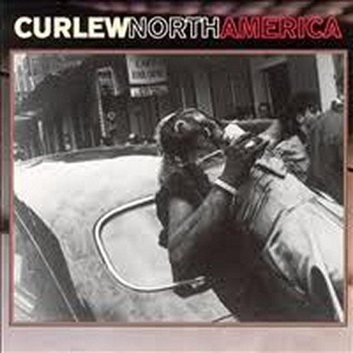 the album cover for Curlew - North America