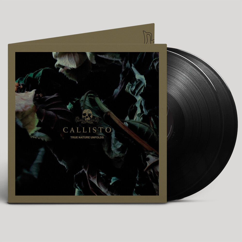 True Nature Unfolds [LP] Vinyl Record