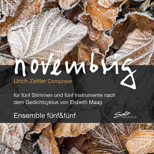 Zeitler / Gschwend / Zischg - Novembrig - Music CD