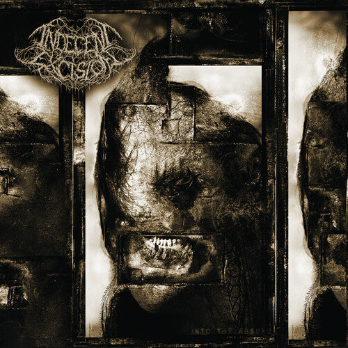 Indecent Excision - Into The Absurd - Music CD