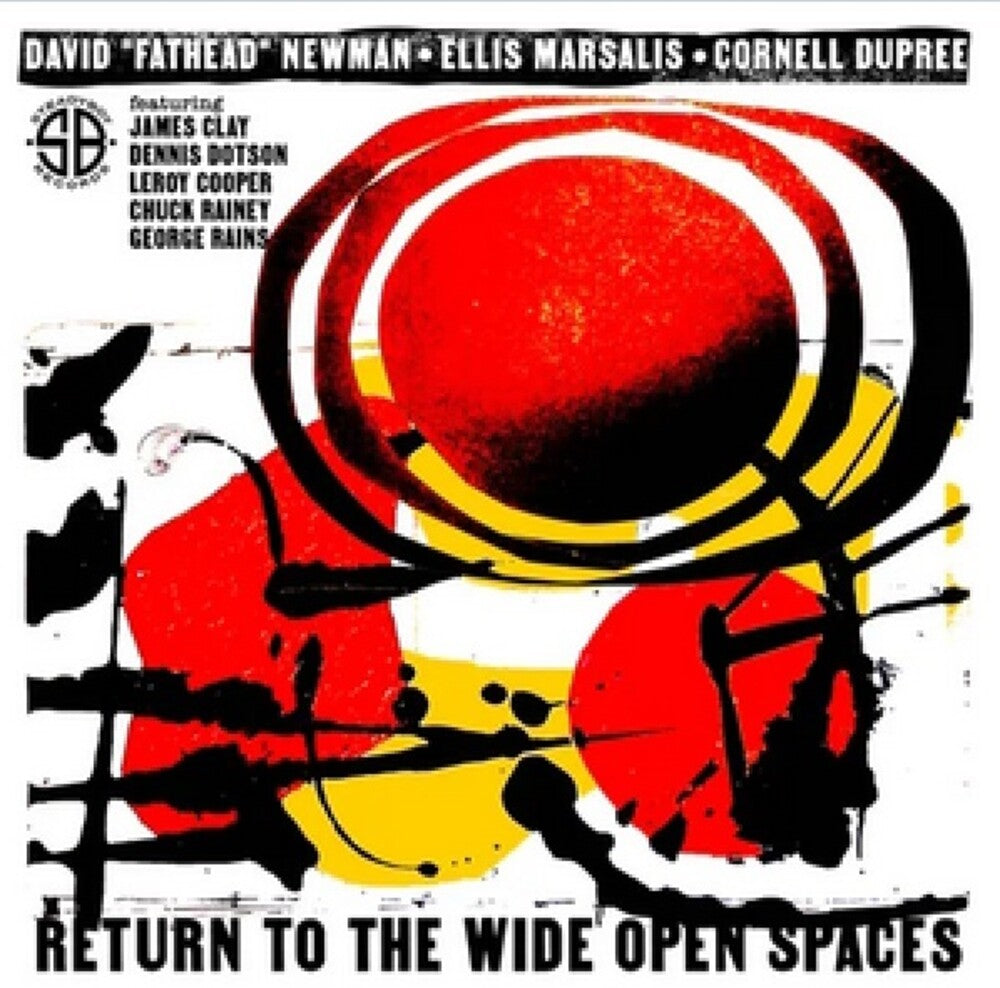 Return To The Wide Open Spaces [LP] Vinyl Record