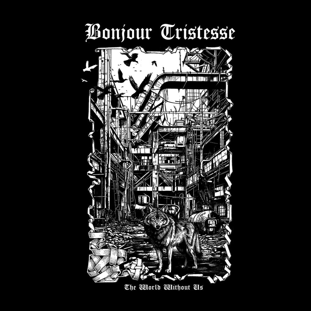 the album cover for Bonjour Tristesse - World Without Us