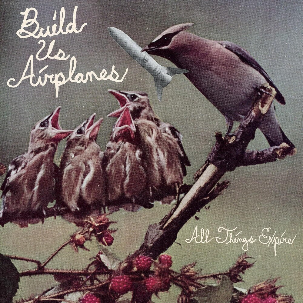 All Things Expire [LP] Vinyl Record