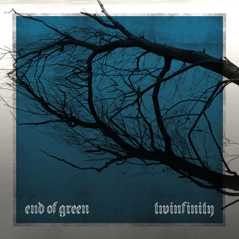 the album cover for End Of Green - Twinfinity
