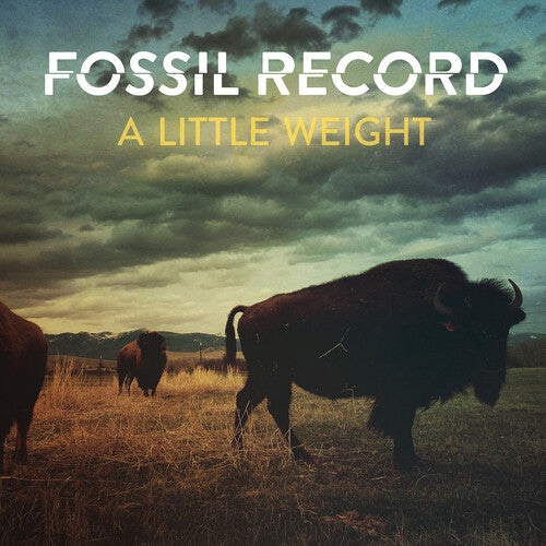 Fossil Record - A Little Weight Vinyl Record