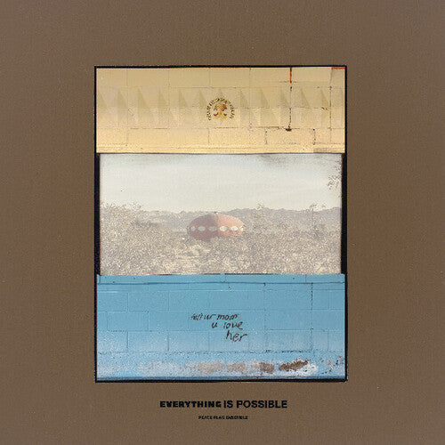 Peace Flag Ensemble - Everything Is Possible - Vinyl Record