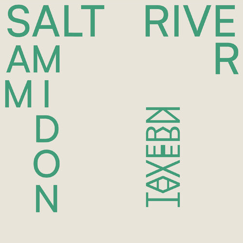 Amidon,sam - Salt River - Vinyl Record