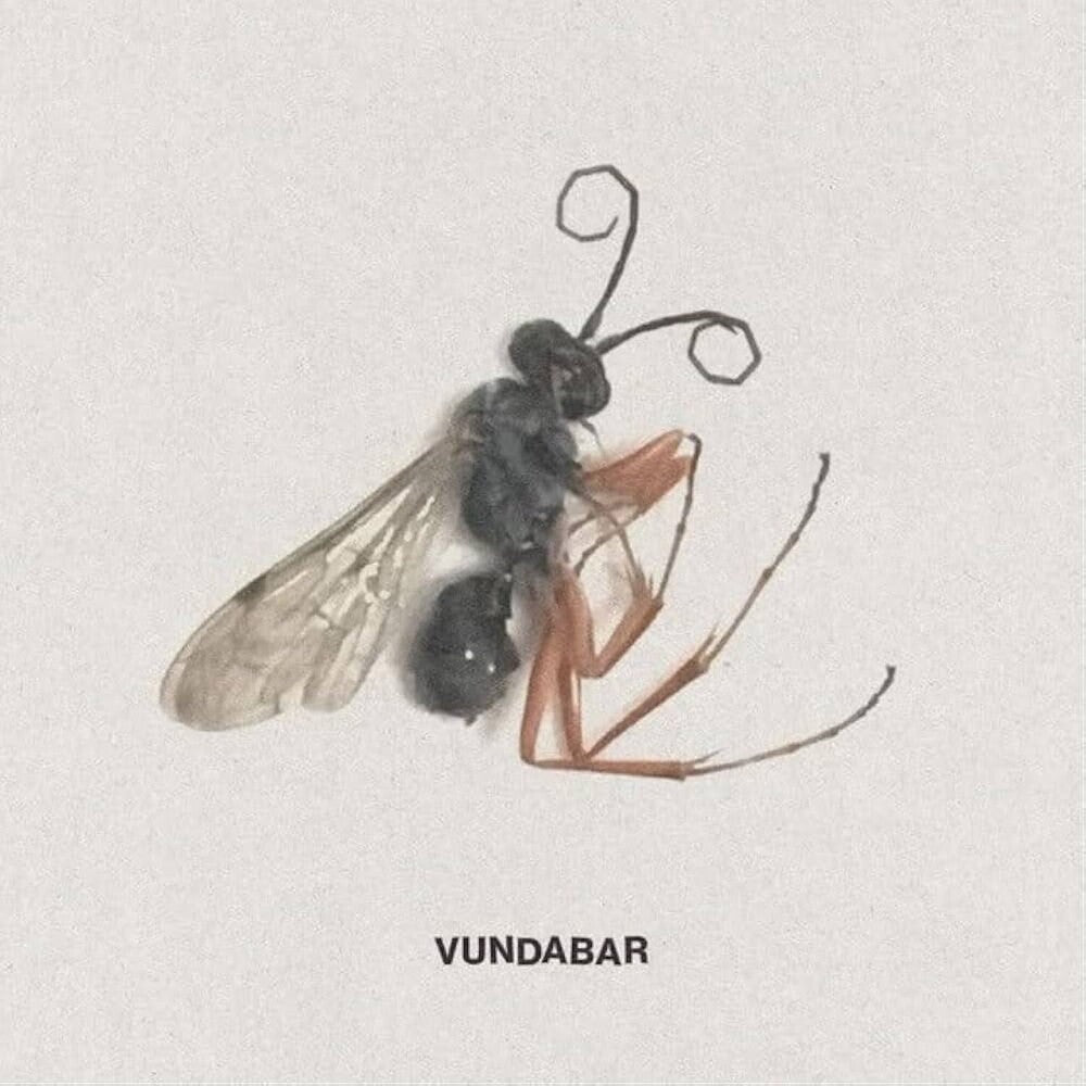 Vundabar - Good Old [LP] Vinyl Record