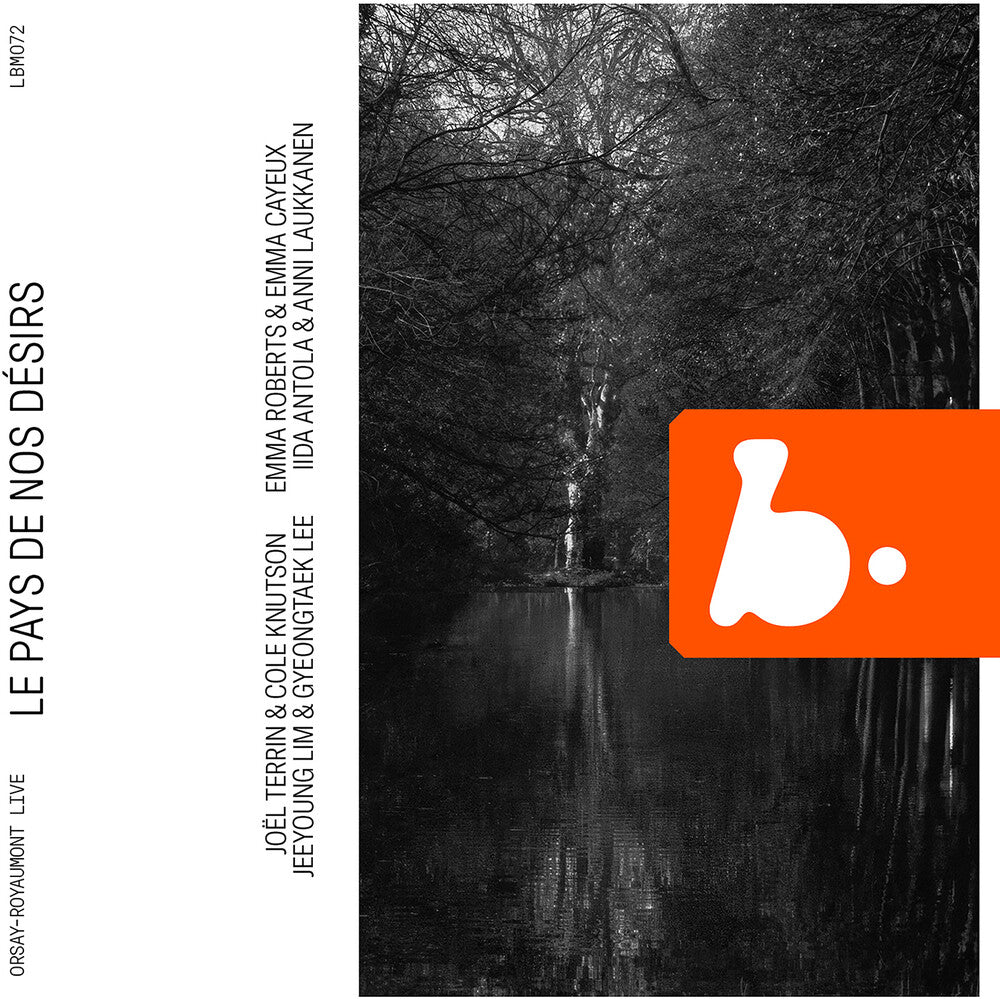 the album cover for Laukkanen / Terrin / Knutson - Le Pays De Nos Desirs