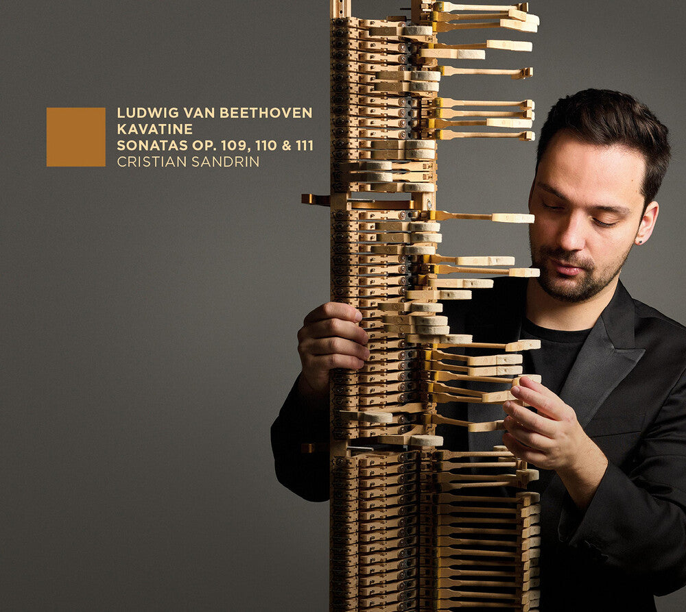 the album cover for L Beethoven .V. / Sandrin - Kavatine - Sonates Op. 109, 110 & 111