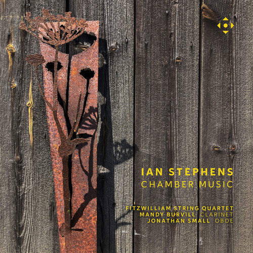 Stephens / Small / Fitzwilliam String Quartet - Chamber Music - Music CD