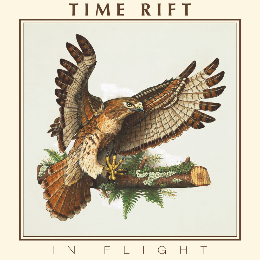 In Flight [LP] Vinyl Record