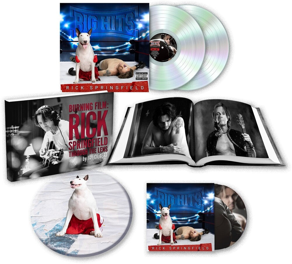 Big Hits: Rick Springfield's Greatest Hits Vol. 2 [LP] Vinyl Record