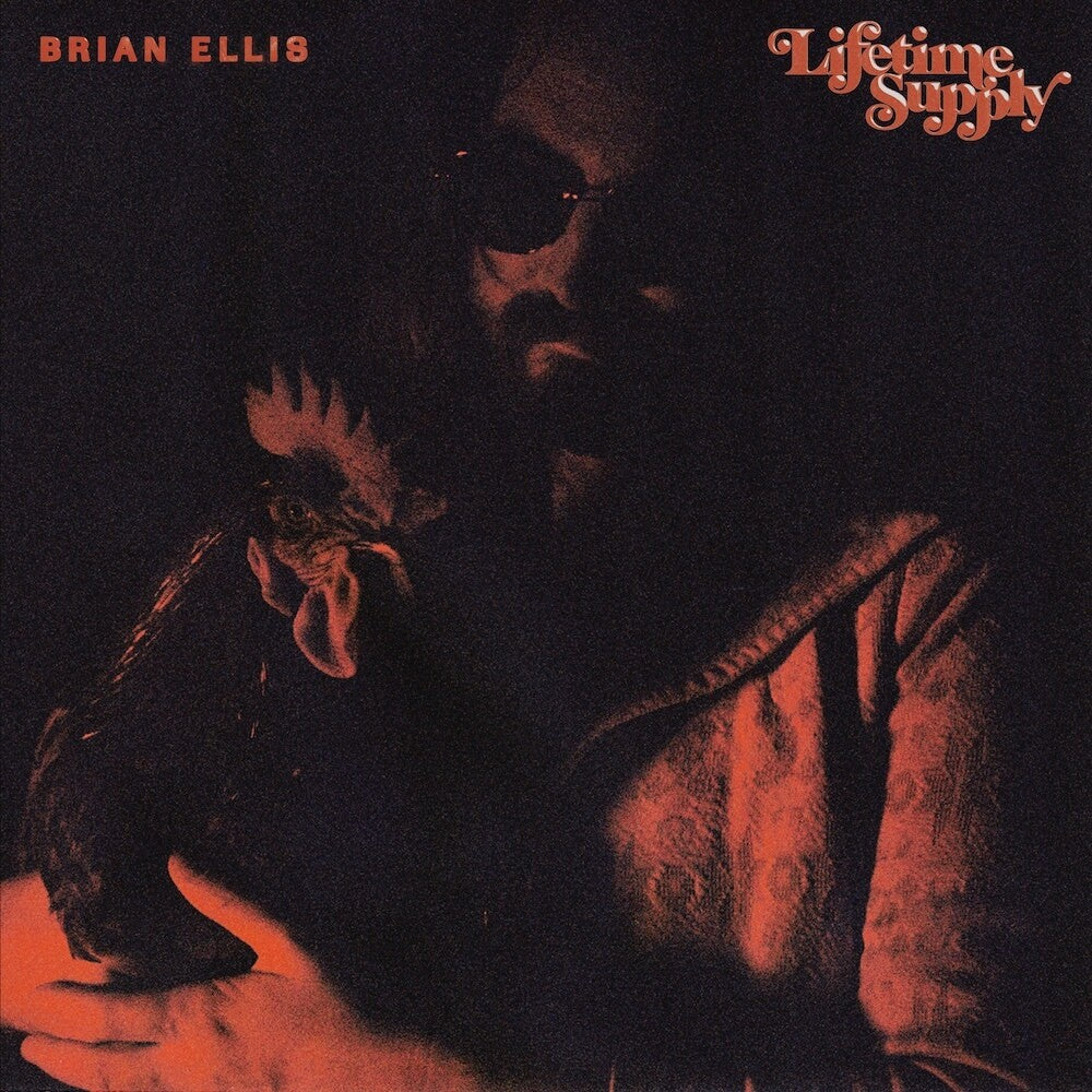 Lifetime Supply [LP] Vinyl Record