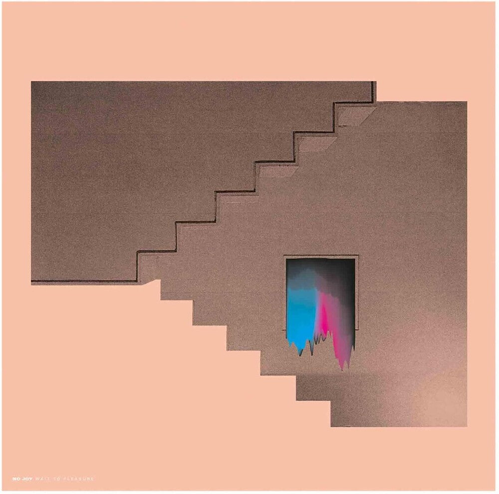 Wait To Pleasure (10th Anniversary Edition) (Aniv) [LP] Vinyl Record